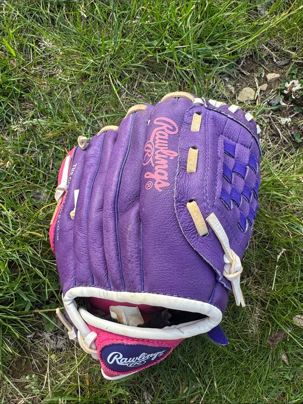 Rawlings Purple Youth Baseball Glove with Pink Accents
